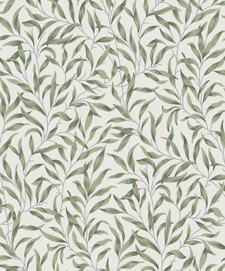 NW54704 leaf peel and stick wallpaper from NextWall