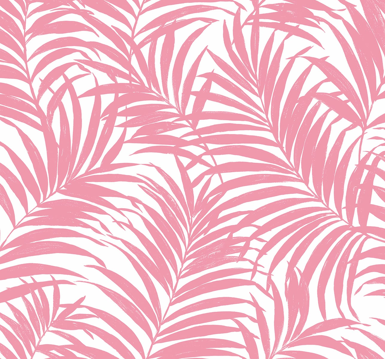 NW54901 palm leaf peel and stick wallpaper from NextWall