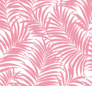 NW54901 palm leaf peel and stick wallpaper from NextWall