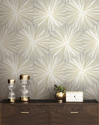 NW55008 mid century geometric peel and stick wallpaper decor from NextWall
