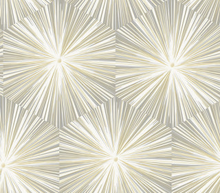 NW55008 mid century geometric peel and stick wallpaper