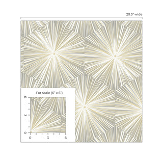 NW55008 mid century geometric peel and stick wallpaper scale from NextWall