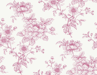 NW55701 floral peel and stick wallpaper from NextWall