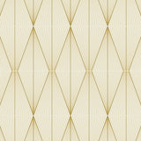 NW55805 geometric peel and stick wallpaper from NextWall