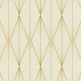 NW55805 geometric peel and stick wallpaper from NextWall
