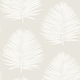 NW57100 palm leaf coastal peel and stick wallpaper from NextWall