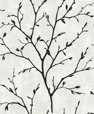 NW57400 tree peel and stick wallpaper from NextWall