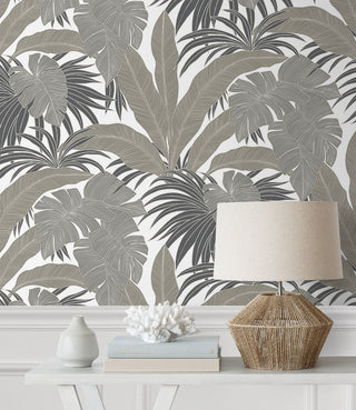 NW58707 tropical  leaf peel and stick wallpaper decor from NextWall