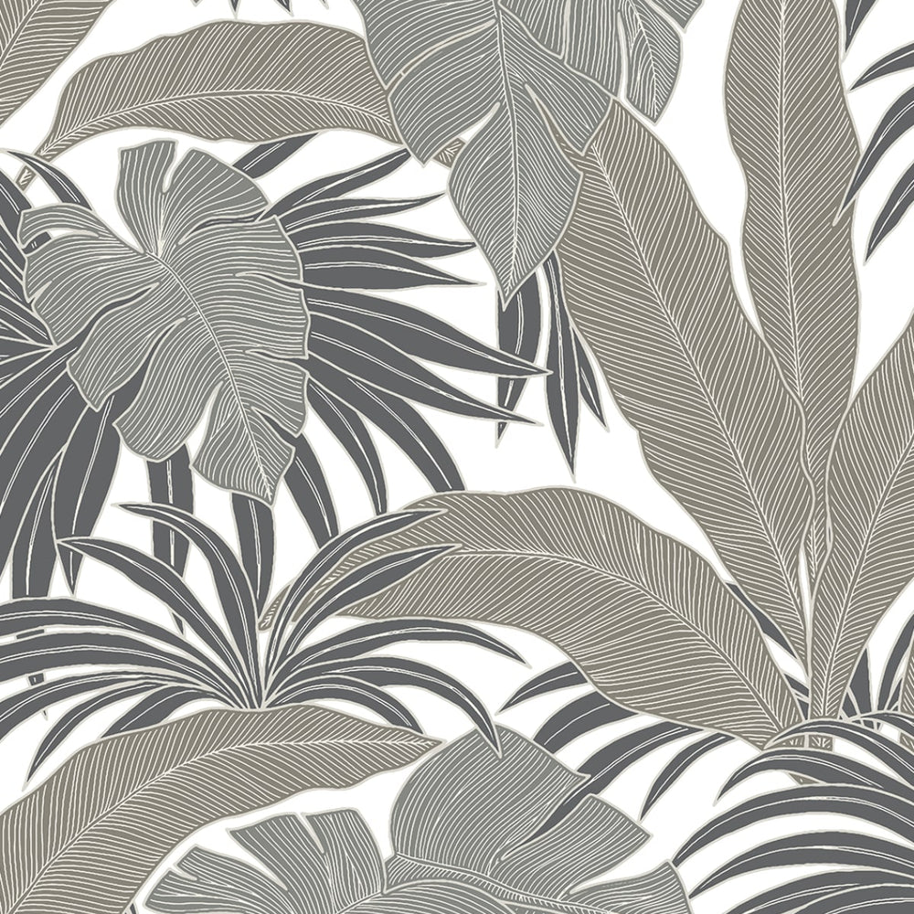 NW58707 tropical  leaf peel and stick wallpaper from NextWall