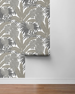 NW58707 tropical  leaf peel and stick wallpaper roll from NextWall