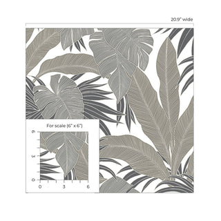 NW58707 tropical  leaf peel and stick wallpaper scale from NextWall