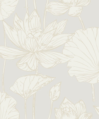 NW59700 lotus floral peel and stick wallpaper from NextWall