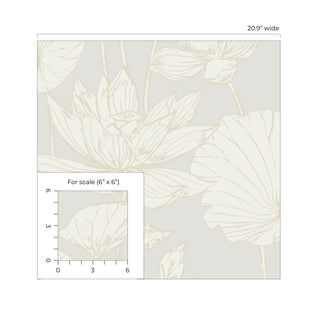 NW59700 lotus floral peel and stick wallpaper scale from NextWall