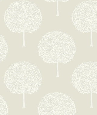 NW60300 tree peel and stick wallpaper from NextWall