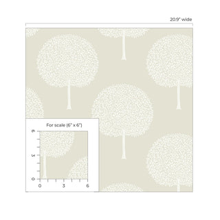 NW60300 tree peel and stick wallpaper scale from NextWall