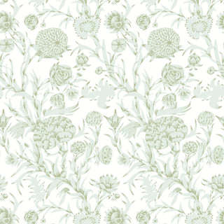 Mitchell Black Patterned Garden Blooming Thicket Botanical Wallpaper in shade Morning Glow at Say Decor