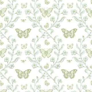 Mitchell Black Butterfly Garden Botanical Wallpaper in shade Morning Glow at Say Decor
