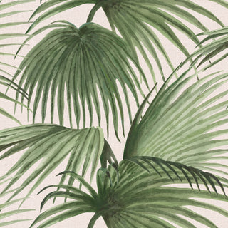 Mitchell Black x Megan Molten Pawley’s Island Palms Botanical Wallpaper in shade Barely Blush at Say Decor
