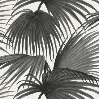 Mitchell Black x Megan Molten Pawley’s Island Palms Botanical Wallpaper in shade Black at Say Decor