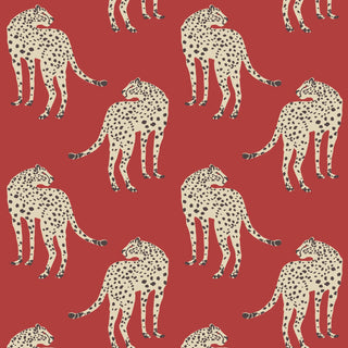 Mitchell Black Prowling Cheetah Wallpaper in shade Scarlet at Say Decor