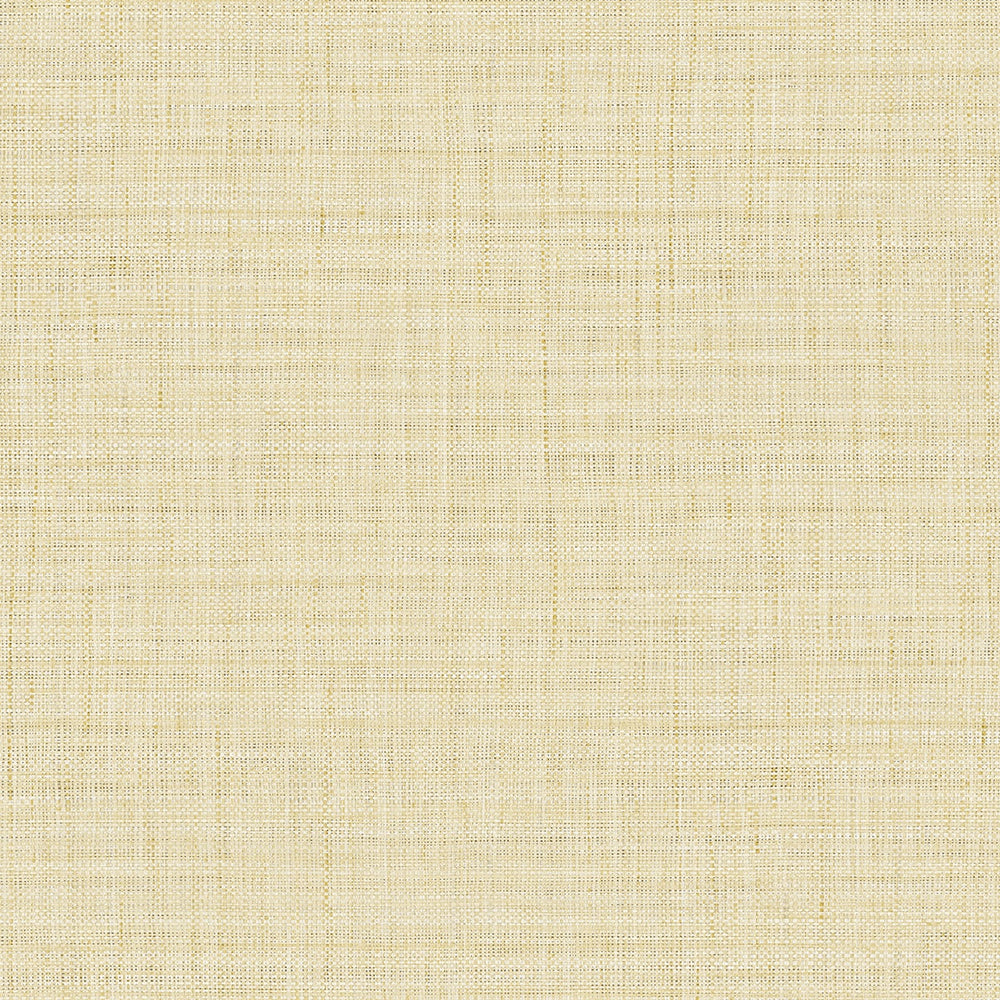 
                  
                    RA40105 textured vinyl wallpaper from the Raffia collection by Seabrook Designs
                  
                