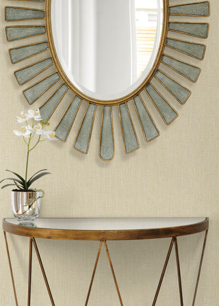 RA41519 textured vinyl unpasted wallpaper mirror from the Raffia collection by Seabrook Designs