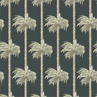 Mitchell Black Retro Tiki Palm Trees Botanical Wallpaper in shade Black at Say Decor