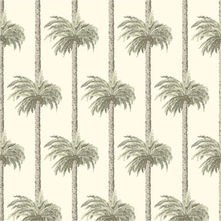 Mitchell Black Retro Tiki Palm Trees Botanical Wallpaper in shade Sunbleached at Say Decor
