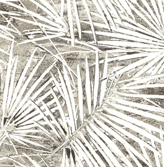 SG13408 palm leaf peel and stick wallpaper from The Sojourn Collection by Stacy Garcia Home