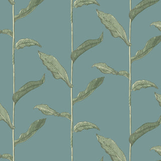 Mitchell Black Stalks Botanical Wallpaper in shade Juniper at Say Decor 