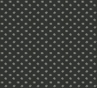 Dolce & Gabbana Casa DG Mediano logo vinyl wallpaper in shade Ebony