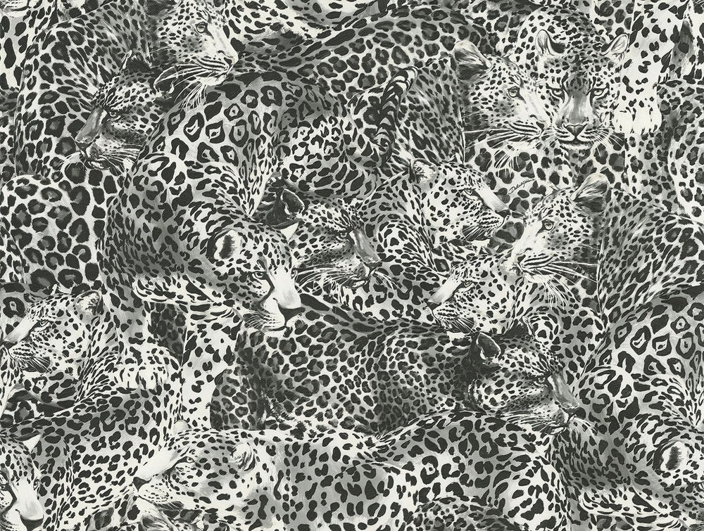 Dolce & Gabbana Casa Leopardo Incognito vinyl animal wallpaper in shade Greyscale