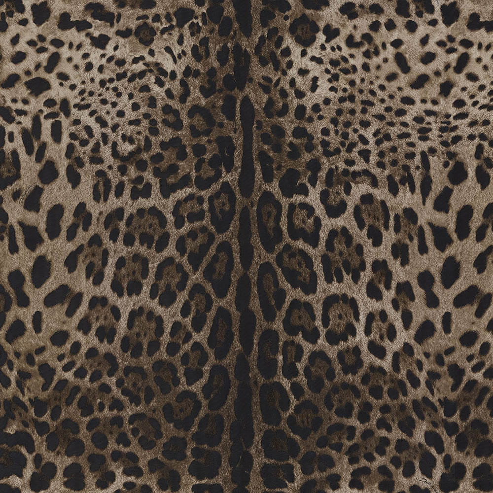TCW007TCAI9UL003 leopard print textured vinyl wallpaper from Dolce & Gabbana