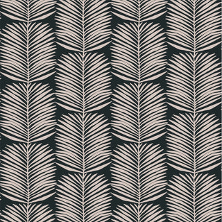 Mitchell Black Betty Palm Leaf Botanical Wallpaper in shade Black at Say Decor