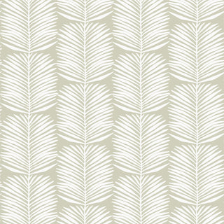 Mitchell Black Betty Palm Leaf Botanical Wallpaper in shade Seagrass at Say Decor