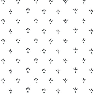 Mitchell Black Lady Charlotte Fleur Spot Wallpaper in shade Stamp at Say Decor