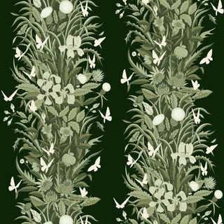 Mitchell Black Paradise Bloom Botanical Stripe Wallpaper in shade Dark Green at Say Decor