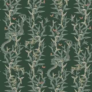 Mitchell Black Stalking Vine Botanical Wallpaper in shade Jade at Say Decor