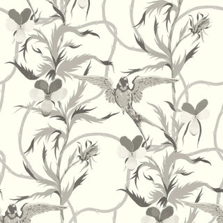 Mitchell Black Tangled Flight Botanical Wallpaper in shade Linen Gray at Say Decor