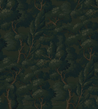 WD20104M forest wall mural from Say Decor