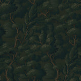 WD20104M forest wall mural from Say Decor