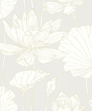 WH40703 Piano Viola Lotus Floral Unpasted Wallpaper from Say Decor