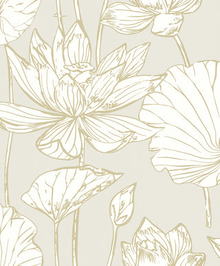 WH40706 Piano Viola Lotus Floral Unpasted Wallpaper from Say Decor