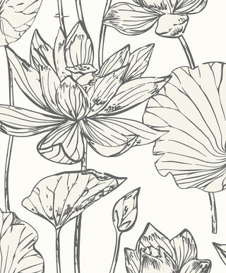 WH40720 Piano Viola Lotus Floral Unpasted Wallpaper from Say Decor