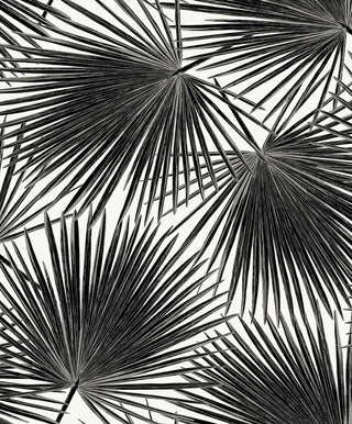 WH41500 Piano Elvis Palms Botanical Unpasted Wallpaper from Say Decor