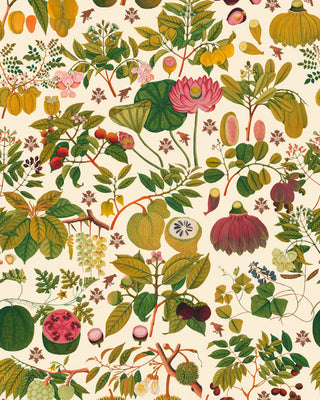 MINDTHEGAP WP20315 Cream Fruits and Flowers Unpasted Wallpaper at Say Decor