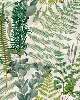 MINDTHEGAP WP20319 Cream Green Sanctuary Botanical Unpasted Wallpaper at Say Decor