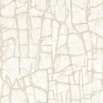 Abstract peel and stick wallpaper 160081WR from Surface Style