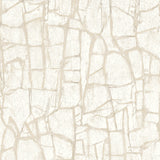 Abstract peel and stick wallpaper 160081WR from Surface Style