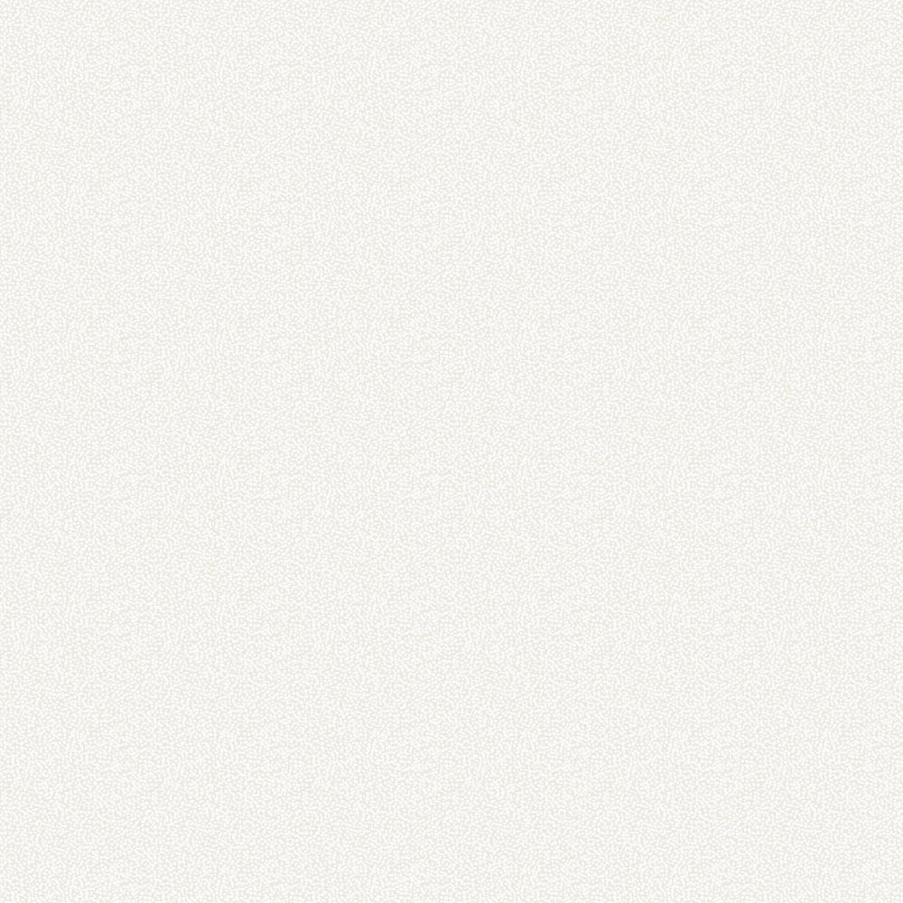 
                  
                    1821608 Affoltern textured dot wallpaper from the Black & White collection by Etten Gallerie
                  
                